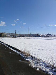 水田（1月12日）
