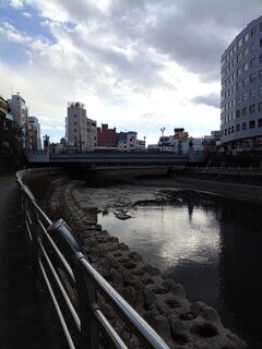 街中の綺麗な川（1月23日）