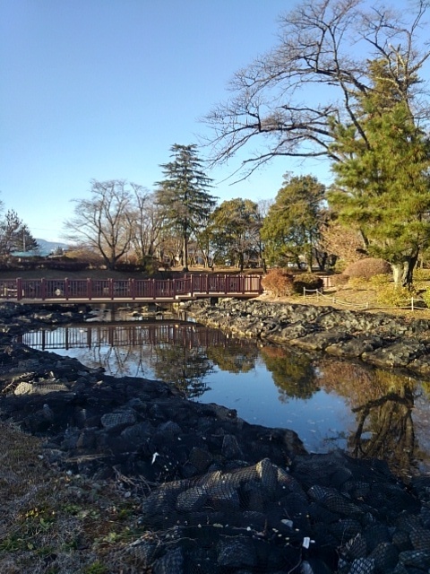 元日の長峰公園の池（1月1日）