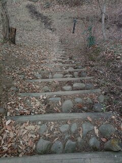 ゆうゆうパークの丘の自然に近い階段（1月2日）