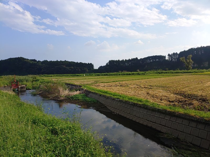 小川のような用水路（9月17日）