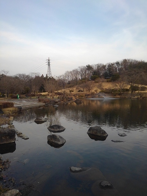 那須野が原公園の池の美景（3月1日）