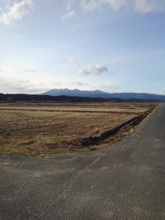 高原山が見える水田沿いの道（2月1日）
