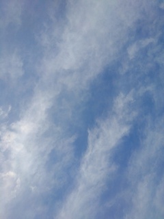 雲（12月21日）