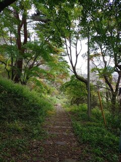 烏ヶ森公園の丘の緩やかな階段（10月22日）