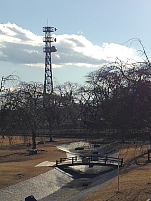 長峰公園の人工の小川（1月1日）
