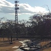 長峰公園の人工の小川（1月1日）