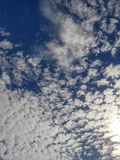 広がる鱗雲（8月11日）