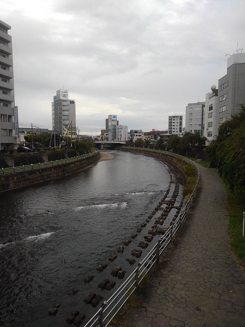 橋の上からの川（10月4日）