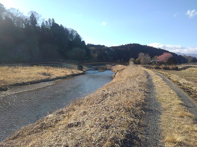 川沿いの道（3月9日）