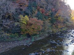 水が綺麗な川と秋色を感じる森（11月17日）