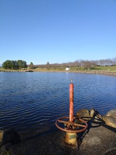 ハンドルの奥の池の景色（10月27日）