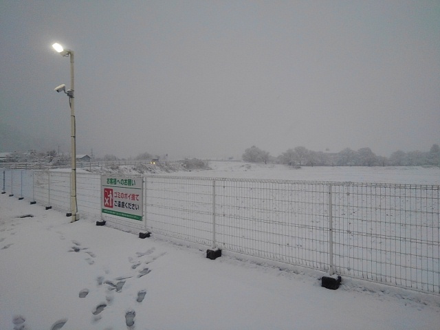 雪の駐車場（2月5日）