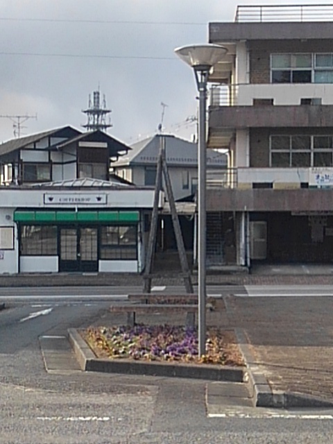 駅の花壇（2月7日）