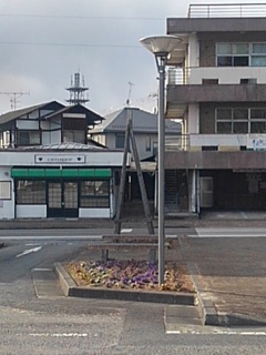 駅の花壇（2月7日）