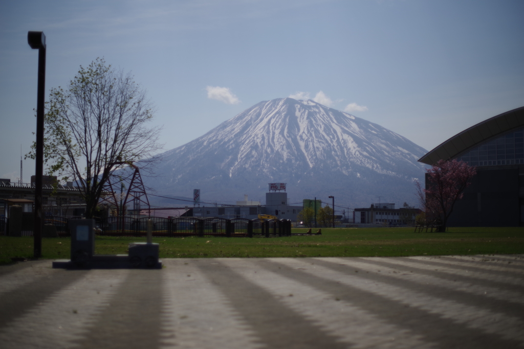 倶知安町スナップ