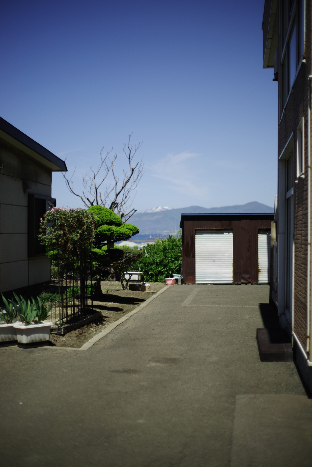 ご町内スナップ⑭