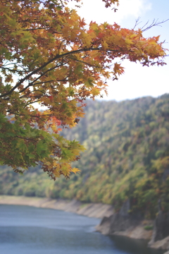 定山渓・豊平峡　紅葉見物④