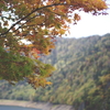 定山渓・豊平峡　紅葉見物④
