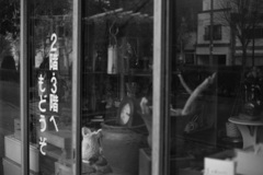 函館散策1