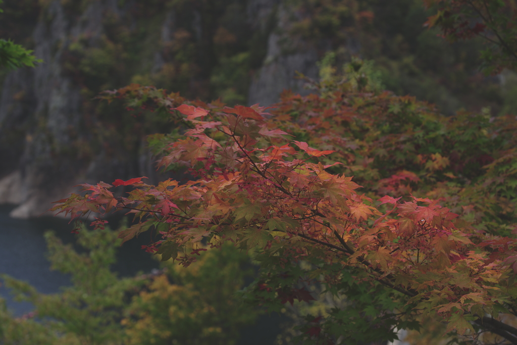 定山渓・豊平峡　紅葉見物②