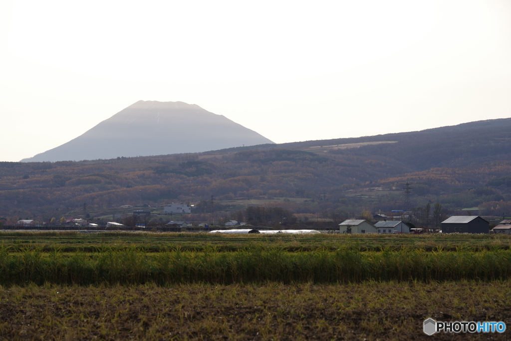 羊蹄山 地元から