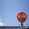 炎天　水求ム
