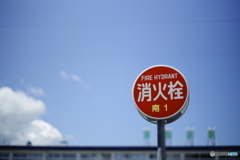 炎天　水求ム