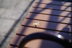 函館散策8