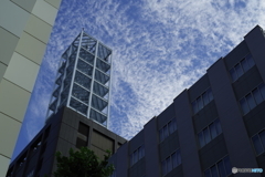 さわやかな雲