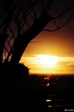 自宅前の夕日