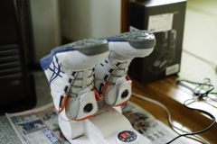 白さの確認