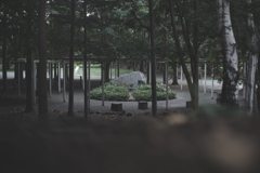 薄明