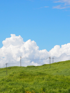 阿蘇、夏