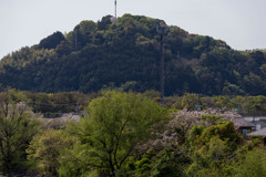 風景