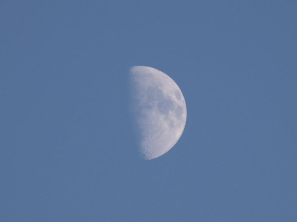 夕方の月
