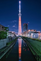 第2の東京タワー