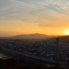 大阪　五月山展望台