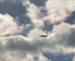 空へ向かう