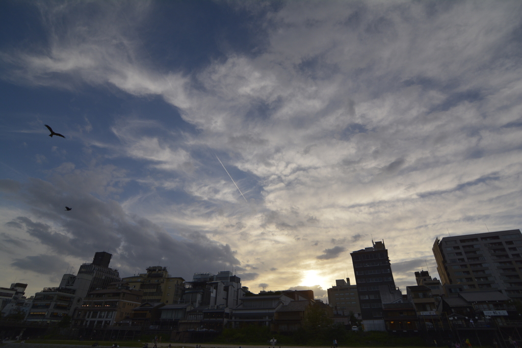 京都　鴨川