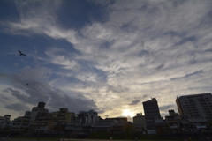 京都　鴨川