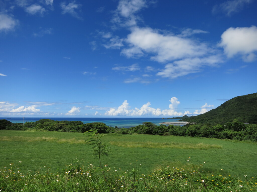 水平線をみてください