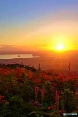 琵琶湖の夕景を伊吹山から