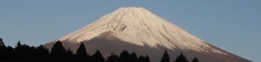 富士山の朝