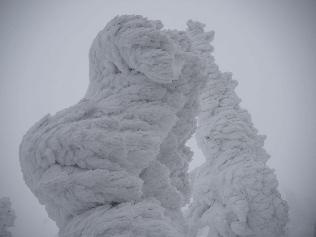 雪の造形