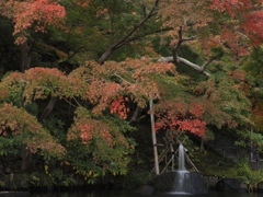 長谷寺の紅葉