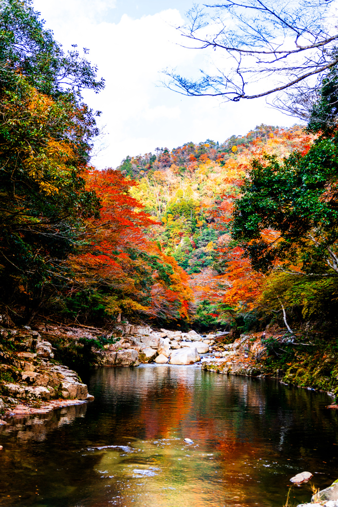 紅葉狩り　part2