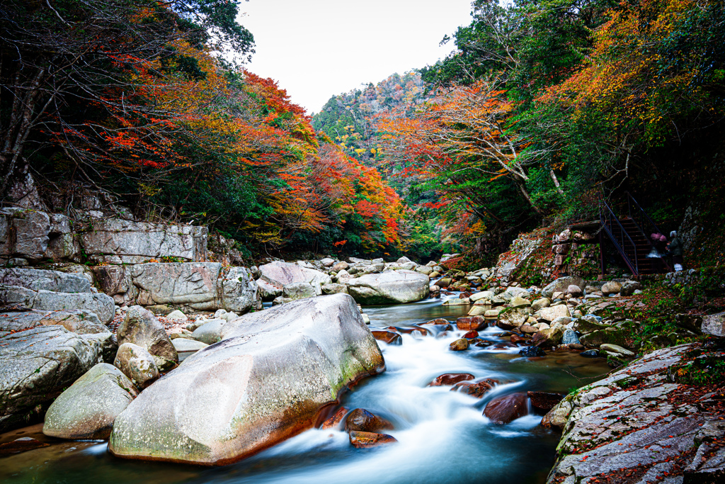 紅葉狩り　part1