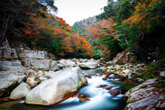 紅葉狩り　part1