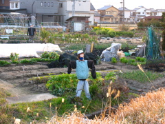 見てるよ